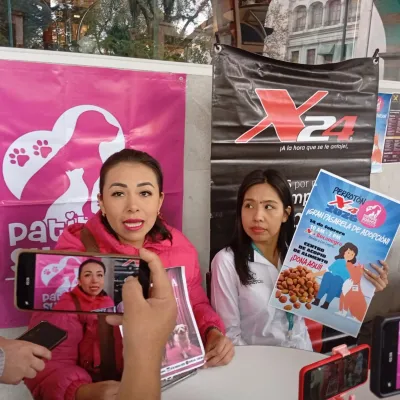 Se incrementan solicitudes de esterilización de caninos y apoyo otorgado por ayuntamiento es insuficiente