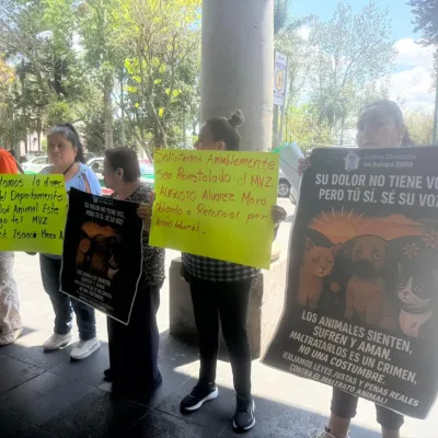 Rescatistas y animalistas demandan la destitución de la directora de Salud Animal Municipal