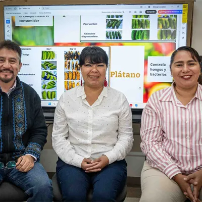 Obtiene UV patente por biocompuestos que conservan alimentos