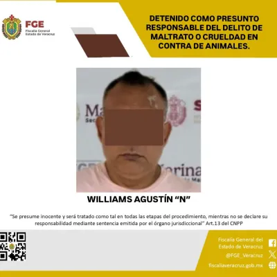 Cero tolerancia al maltrato animal: FGE ejecuta orden de aprehensión contra presunto agresor de un canino en Veracruz 